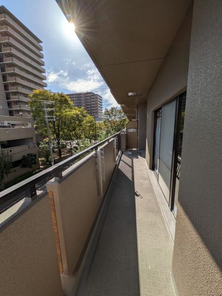 新着　四季彩都くすのき館