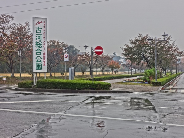 古河市鴻巣の土地(古河総合公園)