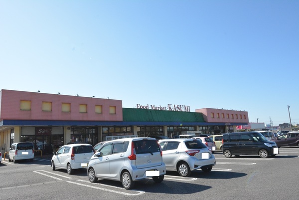 古河市東諸川の土地(カスミ三和店)