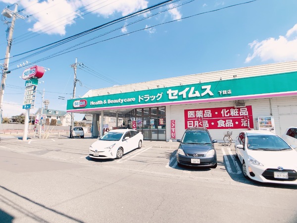 筑西市丙の土地(ドラッグセイムス下館店)