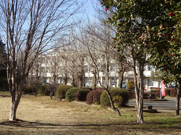 アーバンスタイル 結城郡八千代町1期 全3棟 3号棟(八千代町立中結城小学校)