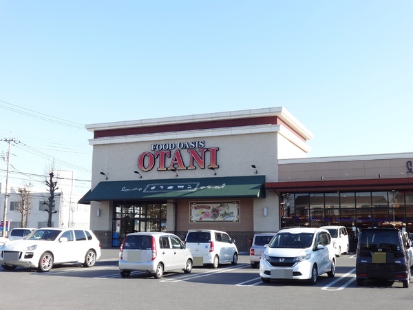 小山市城東4丁目の中古一戸建て(フードオアシスOTANI小山店)
