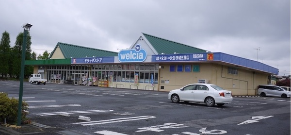 クレイドルガーデン 五霞町原宿台第5 全2棟 1号棟(ウエルシア茨城五霞店)