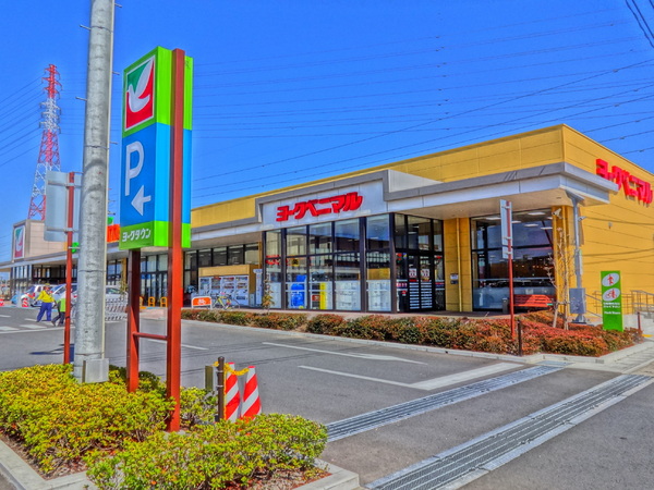 ケイアイ 小山雨ケ谷2期 全1棟(ヨークベニマル小山雨ヶ谷店)