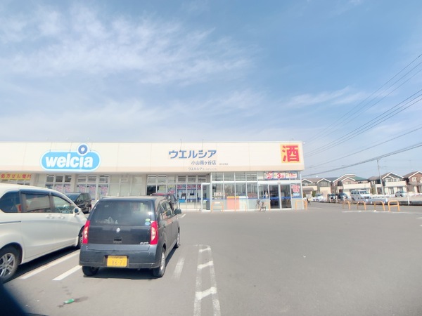 ケイアイ 小山雨ケ谷2期 全1棟(ウエルシア小山雨ケ谷店)