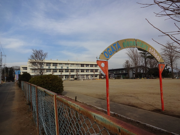 リーブルガーデン 第1下妻市鎌庭 全2棟 1号棟(下妻市立大形小学校)