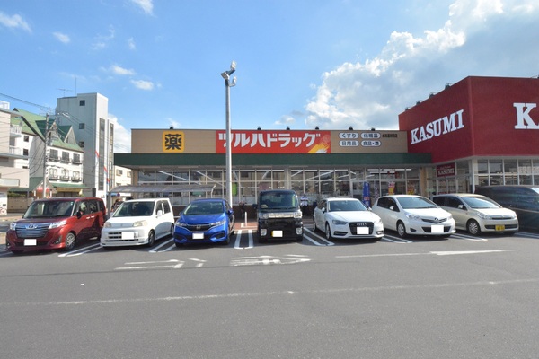 クレイドルガーデン　常総市豊岡町第３　全１棟(ツルハドラッグ水海道栄町店)