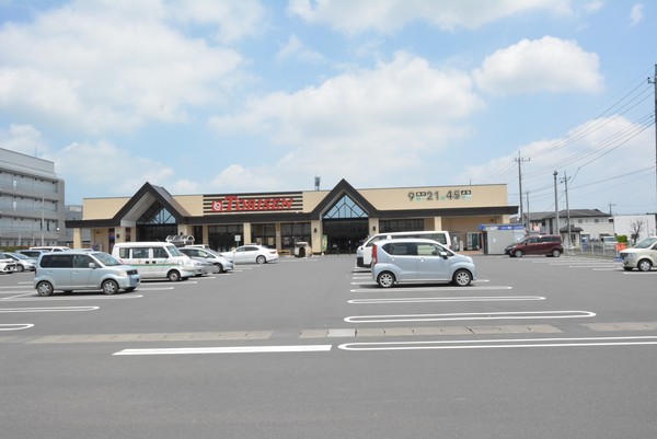 クレイドルガーデン　小山市間々田第１１　全１棟(とりせん美しが丘店)