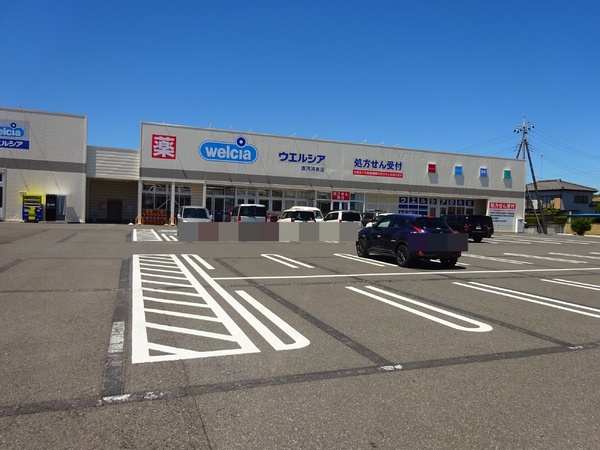 古河市鴻巣の中古一戸建て(ウエルシア古河鴻巣店)