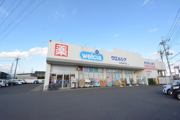 古河市諸川の土地(ウエルシア古河諸川店)