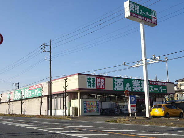 リガーレ　小山市城北１５期　全２棟　２号棟(業務スーパー小山店)