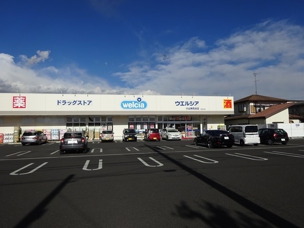 小山市大字粟宮の新築一戸建(ウエルシア小山神鳥谷店)