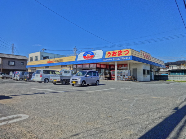 古河市仁連の土地(シティーマーケットうおまつ古河店)
