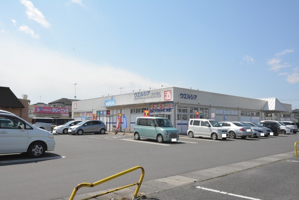 古河市仁連の土地(ウエルシア古河三和店)