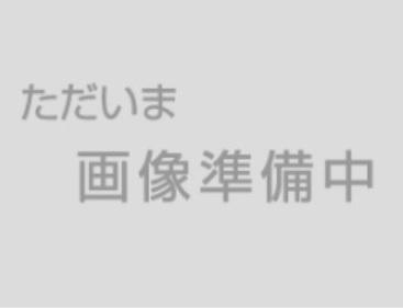 リガーレ　蓮田市緑町１５期　全１棟(蓮田市立中央保育園)