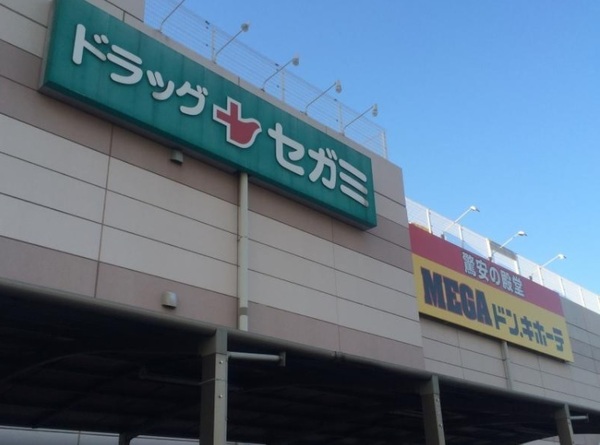 クレイドルガーデン　蓮田市緑町第４　全１棟(ドラッグセガミ蓮田店)