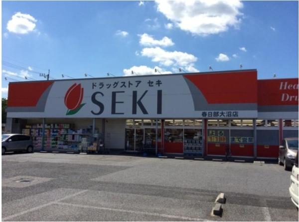 リーブルガーデン　春日部市大沼第３　全６棟　1号棟(ドラッグストアセキ春日部大沼店)