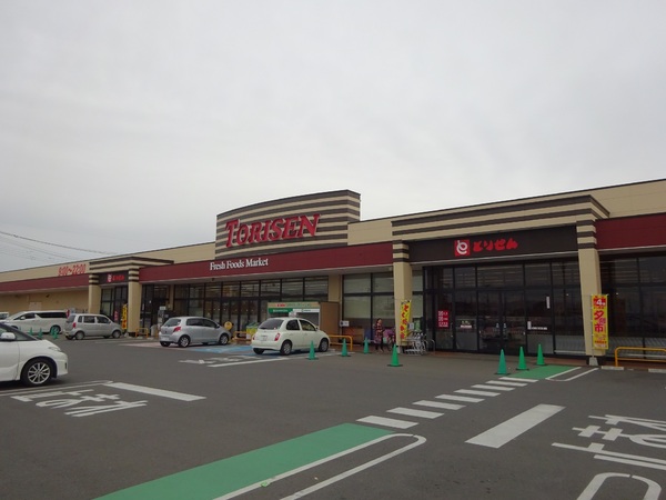 下妻市南原の新築一戸建(とりせん下妻店)