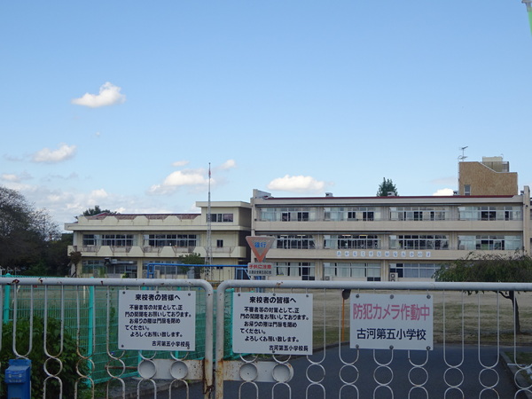 古河市宮前町の新築一戸建(古河市立古河第五小学校)