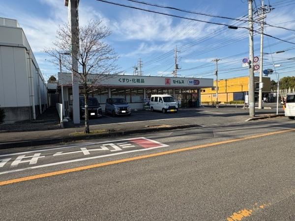 ブルーミングガーデン　蓮田市関山４丁目３期　全１棟(ドラッグセイムス蓮田店)