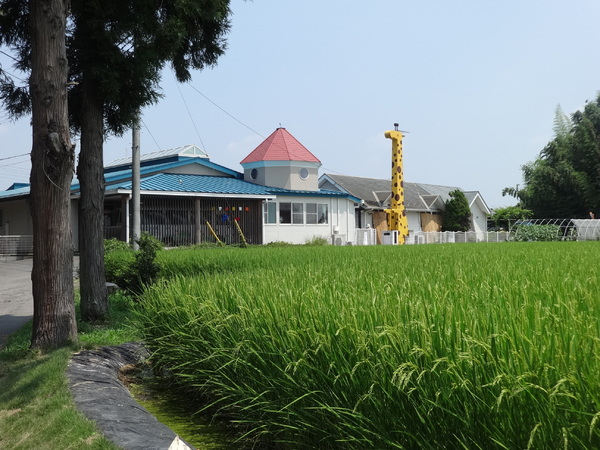 筑西市下野殿の土地(認定こども園西方いずみ幼稚園)