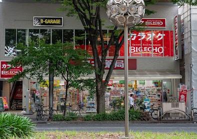 ダイアパレス白川公園(スギドラッグ伏見御園店)