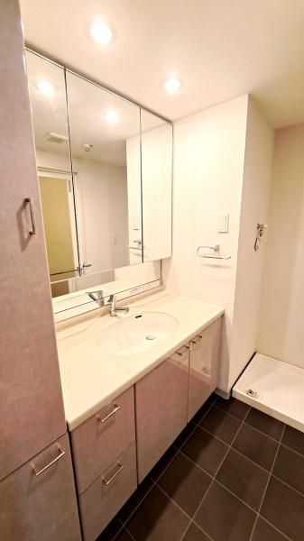 ロイヤルシャトー高峯東ノースヒルズ(洗面台・洗面所)