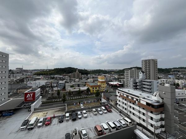 マルベリー原