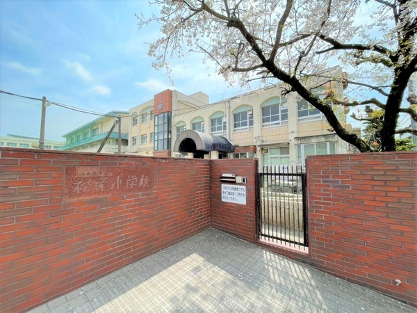 檀渓アイリス(名古屋市立松栄小学校)