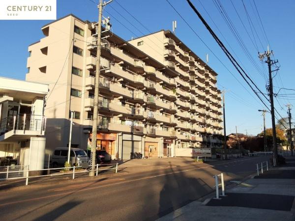 檀渓アイリス