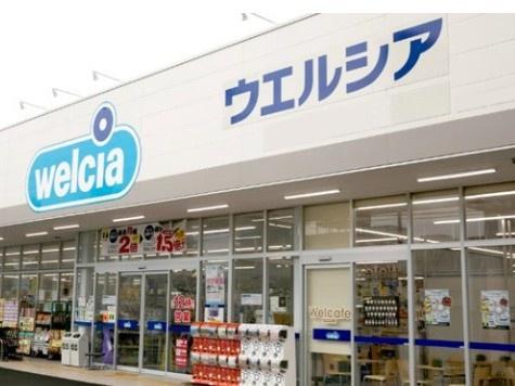 ハイツ牧野(ウエルシアイオンタウン豊橋橋良店)