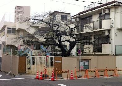 ライオンズマンション覚王山(光明幼児園)