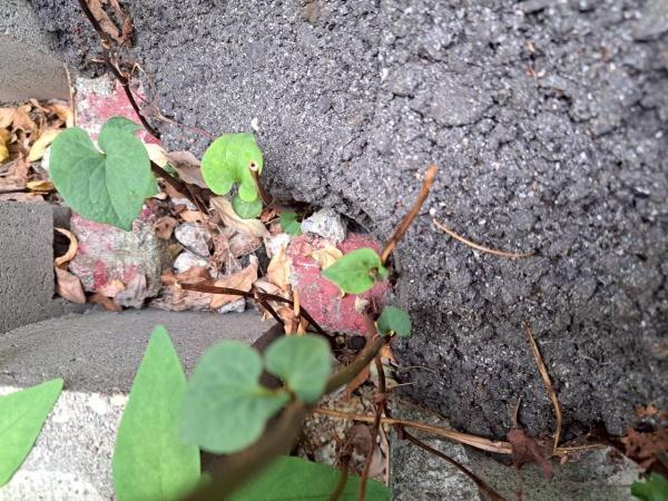 名古屋市瑞穂区白砂町３丁目の土地