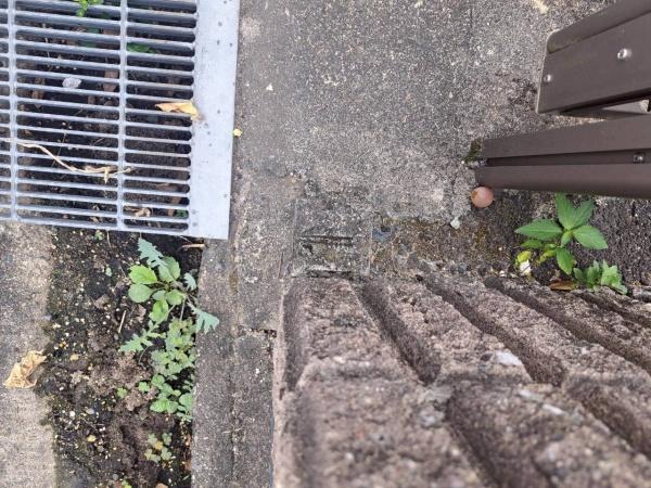 名古屋市瑞穂区白砂町３丁目の土地