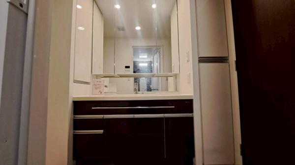 ヴィークタワー東白壁(洗面台・洗面所)