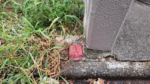 名古屋市中区新栄２丁目の土地