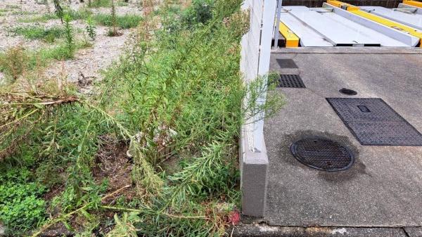 名古屋市中区新栄２丁目の土地