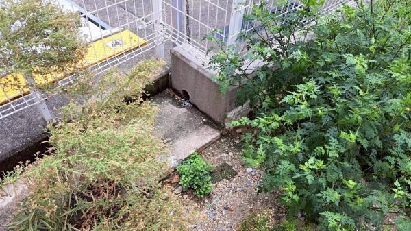 名古屋市中区新栄２丁目の土地