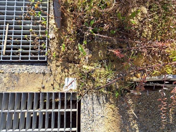 名古屋市千種区宮根台２丁目の売土地