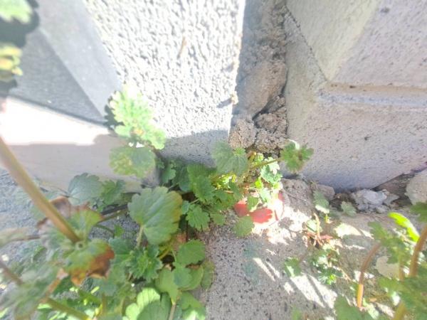 名古屋市千種区春里町４丁目の新築一戸建