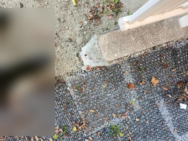 名古屋市千種区春里町１丁目の新築一戸建