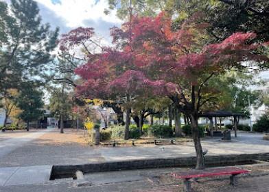 名古屋市東区筒井１丁目の新築一戸建(建中寺公園)