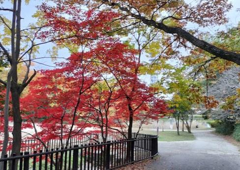 名東区猪子石二丁目　新築戸建　B号棟(明徳公園)