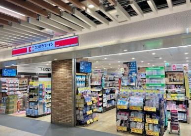 シティハウス丸の内サウスコート(ココカラファイン伏見駅店)