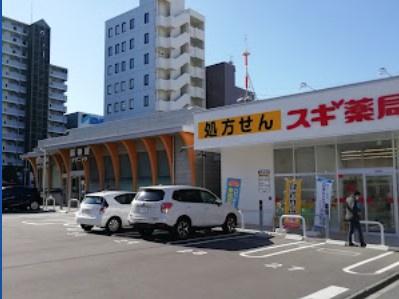 白壁パーク・ホームズ(スギドラッグ清水口店)