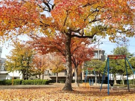 植田ダイヤハイツ(欠下公園)