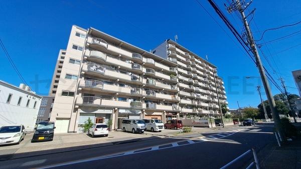 檀渓アイリス