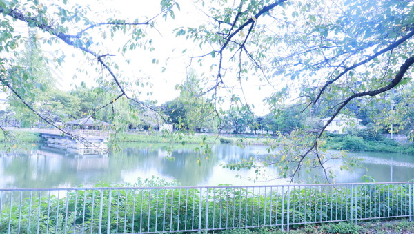 杁中スカイタウンA棟(隼人池公園)