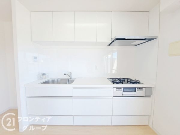 ネバーランド伏見桃山　中古マンション