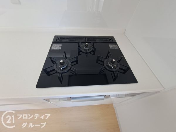 ネバーランド伏見桃山　中古マンション